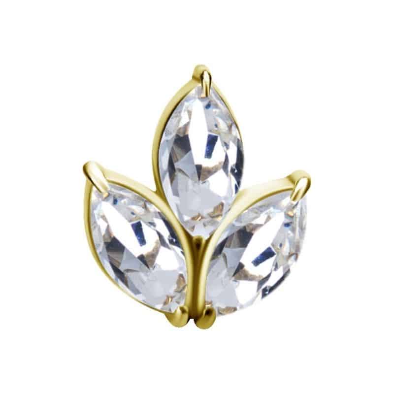 INTERNAL MICRO ATTACHMENT MARQUISE CLUSTER – Bild 5