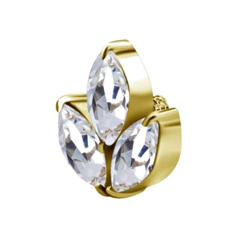 INTERNAL MICRO ATTACHMENT MARQUISE CLUSTER
