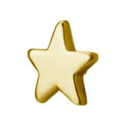 INTERNAL MICRO ATTACHMENT - STAR