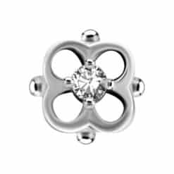 INTERNAL MICRO ATTACHMENT SET WITH PREMIUM ZIRCONIA - FLOWER