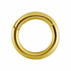 HINGED SEGMENT RING CLICK