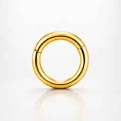 HINGED SEGMENT RING CLICK