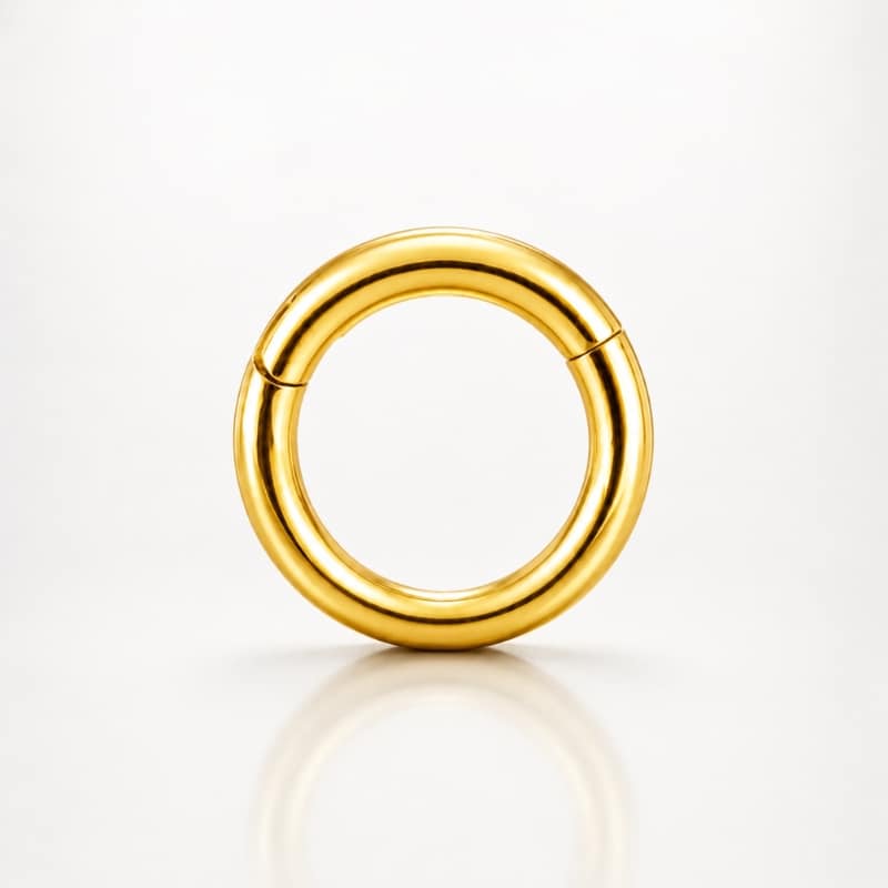 HINGED SEGMENT RING CLICK
