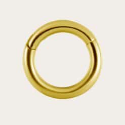 HINGED SEGMENT RING CLICK